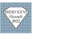 Slider Hasselt Diamond Workshop 2022 - SBDD XXVI 
